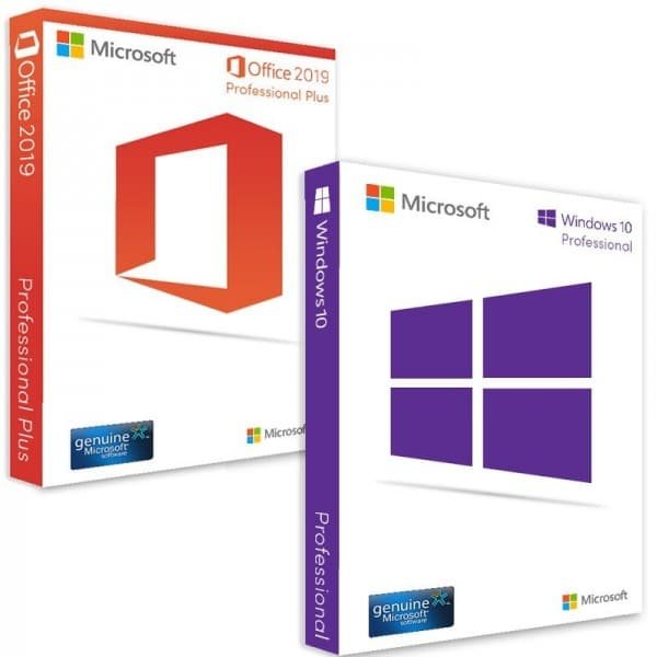 windows 10 professional office 2019 professional plus